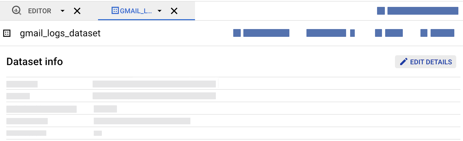 The location of the edit details button in the dataset
